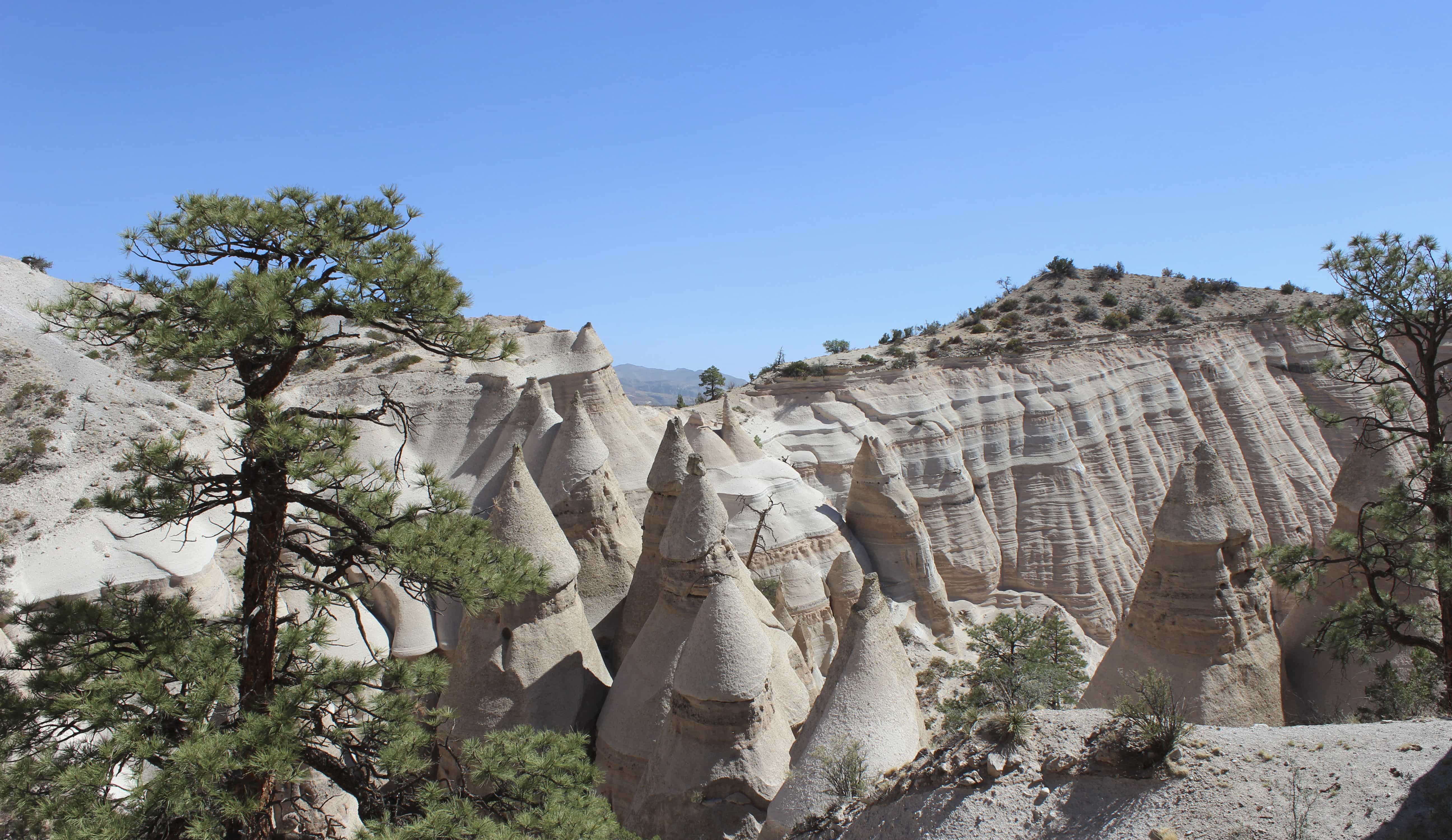 Outreach nature picture