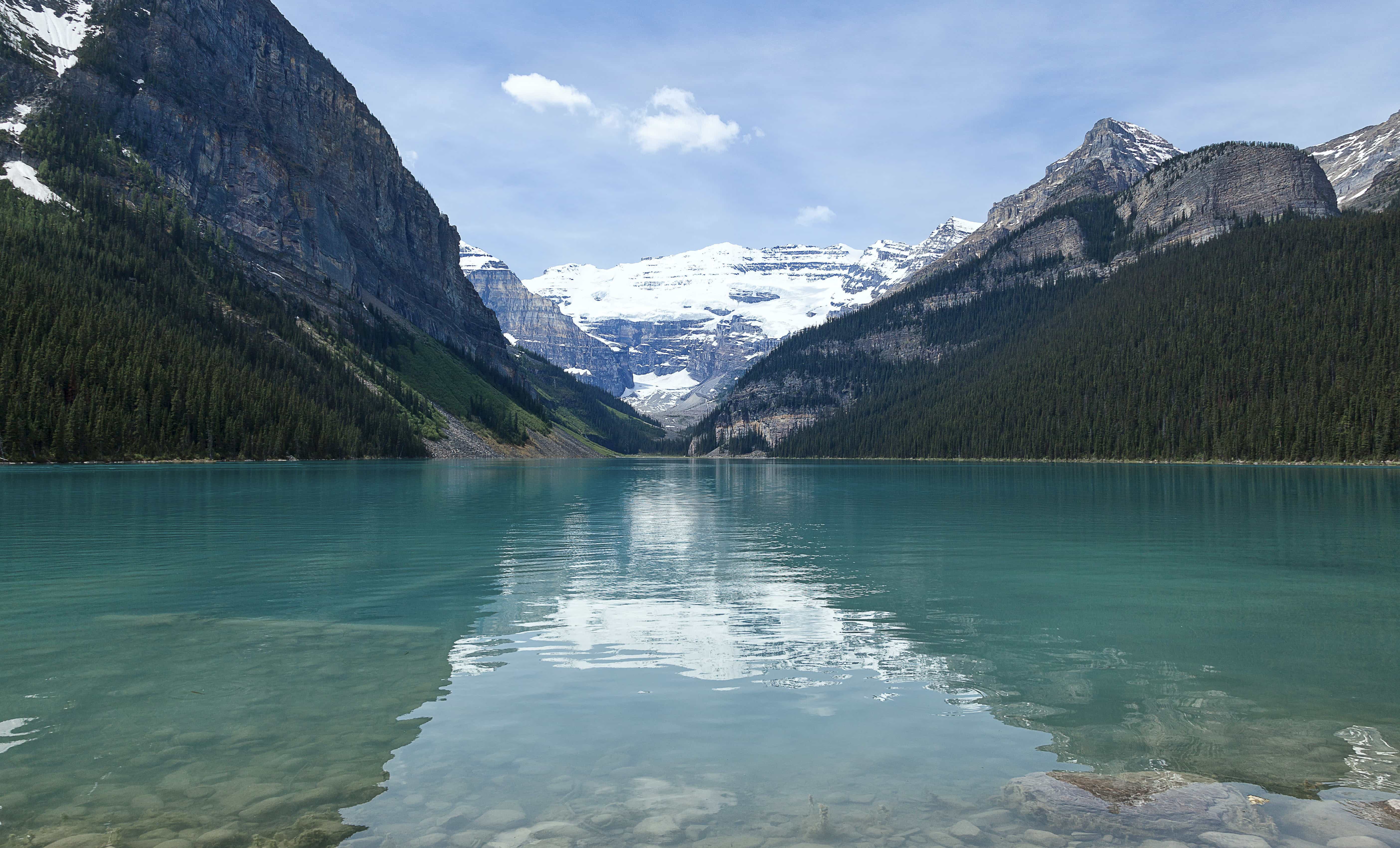 Publications nature picture